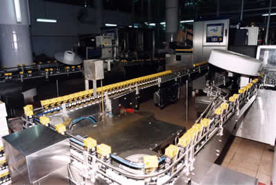 果汁生產(chǎn)流水線輸送設備進瓶螺桿的詳情