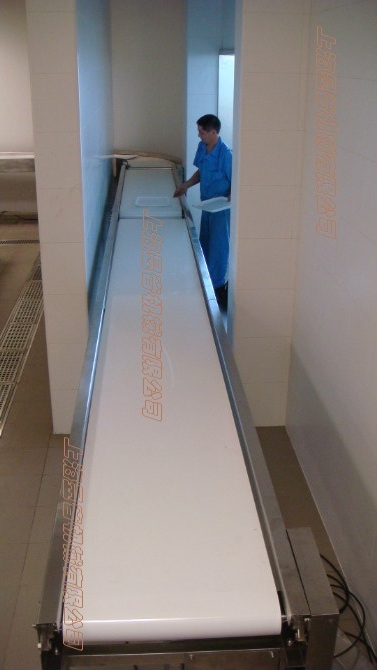 自動化包裝流水線在食品行業(yè)中運(yùn)用的優(yōu)勢